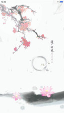 莲花印象
