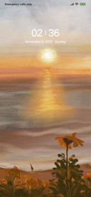 Before Sunset
