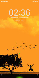 Orange Whip_DWM2