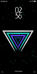 Triglex_DWM2