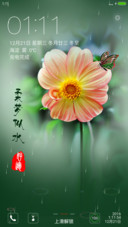 大丽鲜花开清新自然