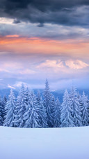 Dramatic Winter Sunrise in Carpathian Mountains
