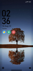 Dark Tree