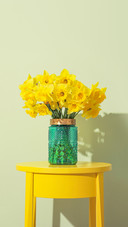 Beautiful daffodils in vase on table