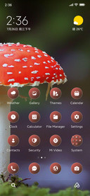 Red Mushroom