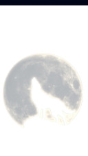 战狼
