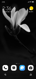 Pure Magnolia