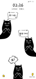 小贱猫动态趣味问答