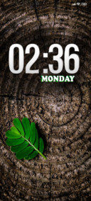 dark wood