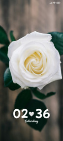 White Flower