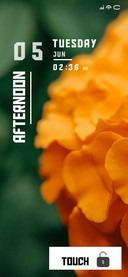 Orange Flower