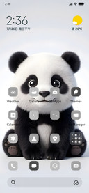 Panda