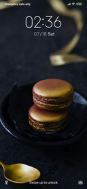 Golden Cookie_3MDS