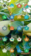 Fruits_DWM3