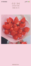 小清新蜜桃草莓G