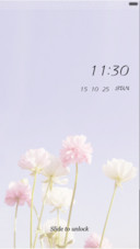 Spring Flower