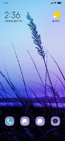 Viewpoint_DWM2