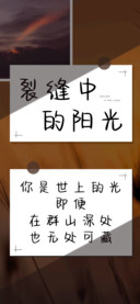 裂缝中的阳光