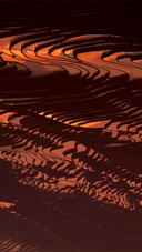 Beautiful Terraces