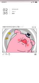 C 自拍照