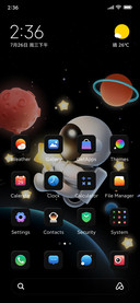 The Astronaut
