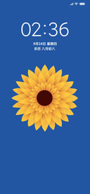 纯简simple pro