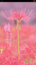 彼岸花开【锁屏桌面多种特效】