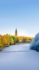 Transition Image from Autumn to Winter