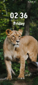 lion