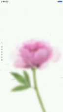 一栀花