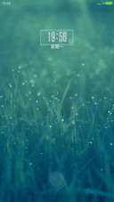 微真特海绿