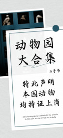 动物园大合集