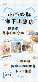 小猫心就像下小鱼雨