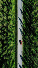 Embracing Nature