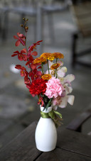 How to deal with flowers and plants infested with insects 17