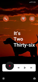 Dog_5