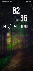 Forest