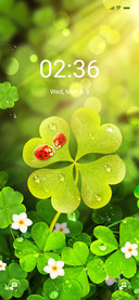 Sunshine clover