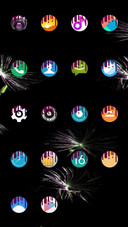 FEATHER_DWM2