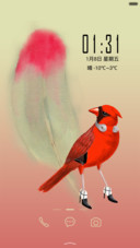 爱打扮的小鸟 动态图标+完美锁屏 