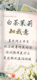 白茶茉莉知我意