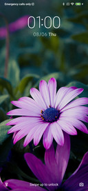Flower - Closeup_3MDS
