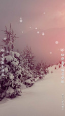初雪