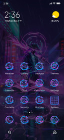 Cyber Ninja