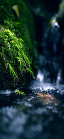 流水时光 双动态