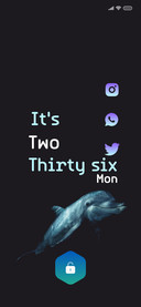 Dolphin_2
