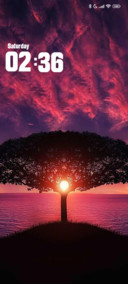AJ Tree