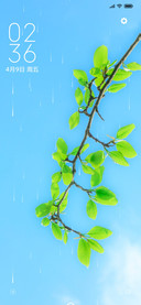 护眼 夏意