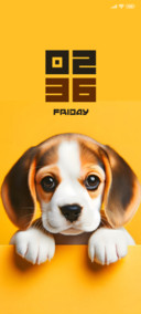 Cute Puppy