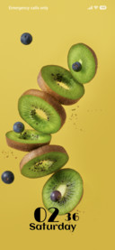 Ocean Fruits